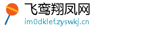 飞鸾翔凤网